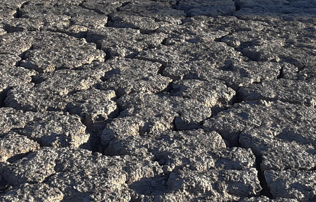 Soil cracked during drought